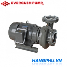 Máy bơm ly tâm trục ngang 2P Evergush CP-23.7H 5Hp