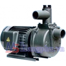 Máy bơm tự hút đầu gang NTP HSP250-11.5 265 2HP