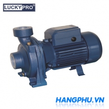 Máy bơm lưu lượng LuckyPro XGM/5B 1HP