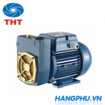 Máy bơm ly tâm dân dụng đầu gang Pentax MDT100