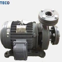  Máy bơm ly tâm TECO đầu GANG 2 cực G32-40-2P-2HP