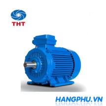 MOTOR ĐIỆN 3 PHA TMX