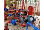 Phân tích khi nào nên chọn lắp máy bơm PCCC động cơ điện và diesel