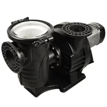 Máy bơm nước hồ bơi Emaux APS550P 5.5HP