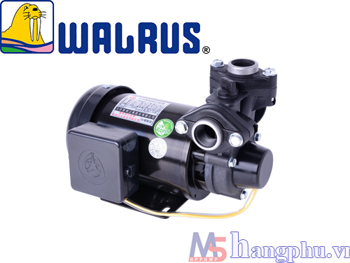 Walrus TP325 1/2HP