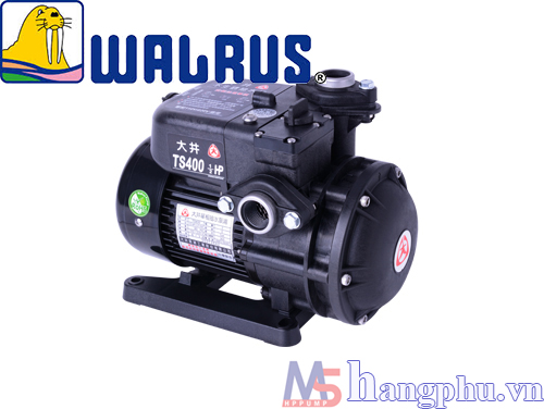 Walrus TS-2200 3HP